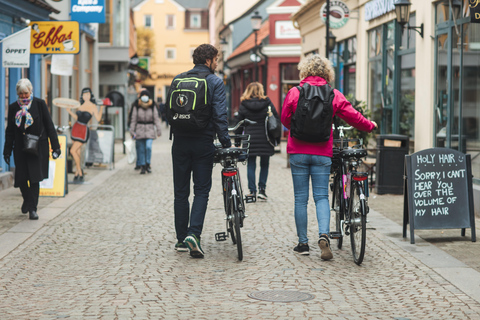 Copenhagen - Helsingborg, 1 day Self-guided