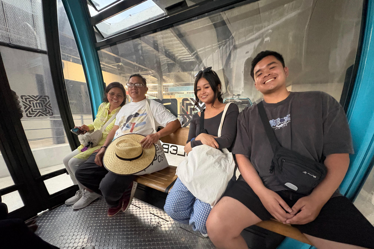 Mexico : visite en téléphérique et street artMexico : visite guidée en téléphérique et découverte du street art