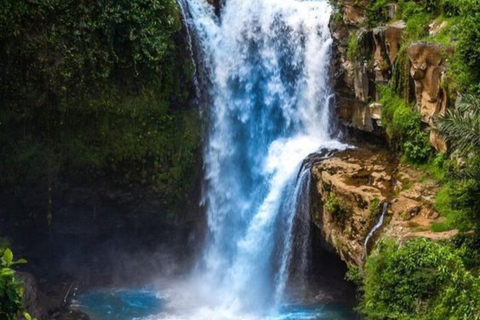 Cascata di Tegenungan: Il paradiso naturale nascosto di Bali