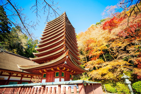 Osaka: Nara, Akame 48 Waterfalls & Tanzan Shrine Tour Shared Tour, Meet at Tsurutontan Soemoncho