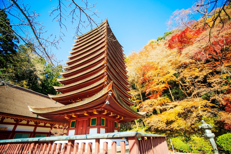 Osaka: Nara, Akame 48 Waterfalls & Tanzan Shrine Tour Shared Tour, Meet at Tsurutontan Soemoncho