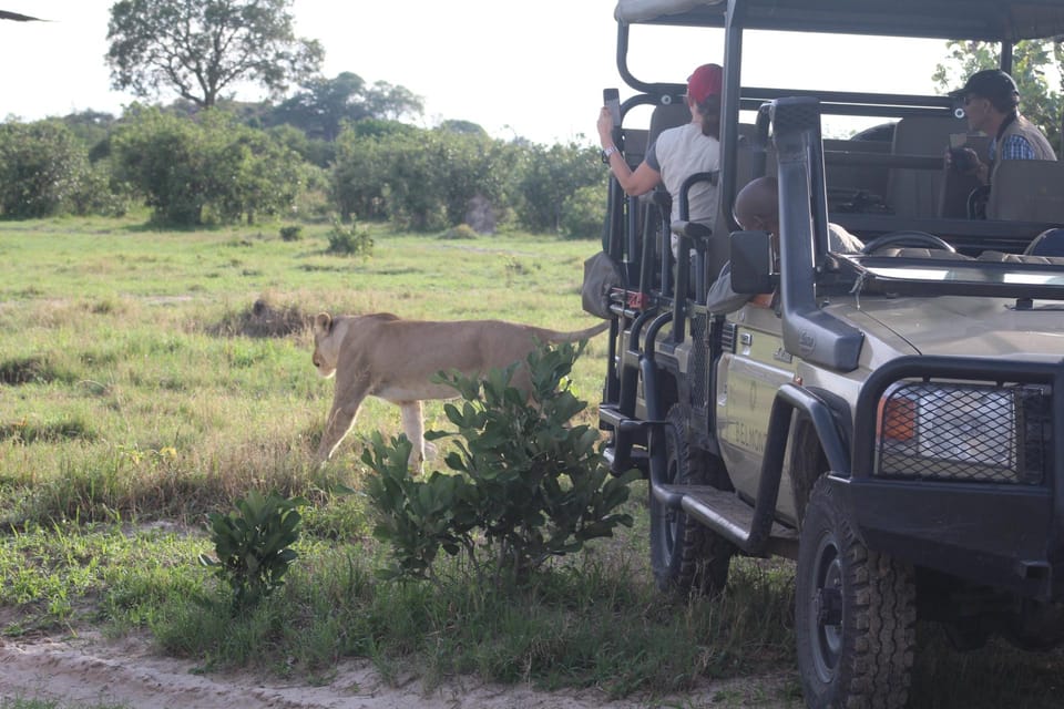 Victoria Falls'dan 3 Günlük Chobe Camping Safari - Hizvo