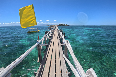 From Cebu: Island Hopping to 3 islands with BBQ lunch Shared Group Tour