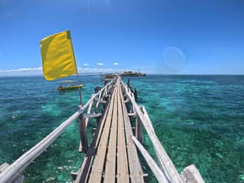 Da Cebu: giro delle isole con pranzo BBQ