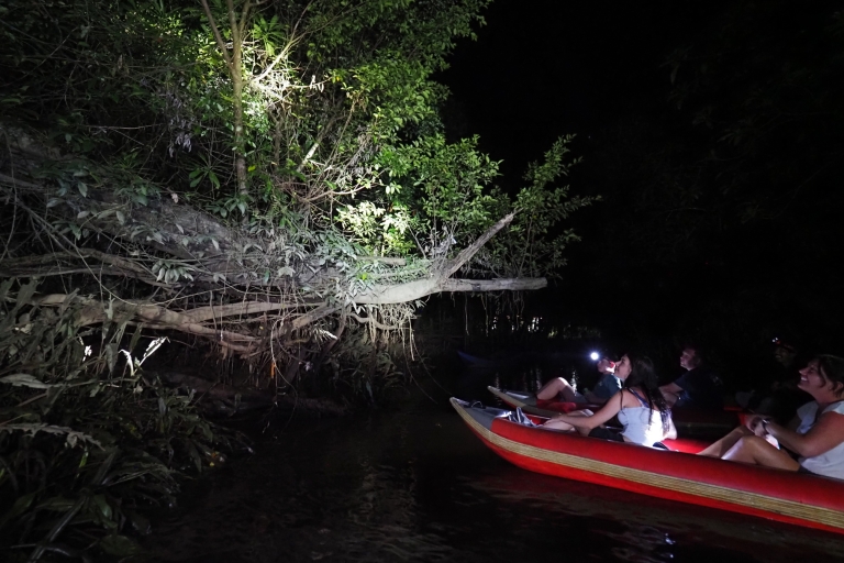 Nocna wycieczka po dżungli: poszukiwanie węży i gatunków nocnychNocna wycieczka po dżungli: Znalezienie węży i gatunków nocnych