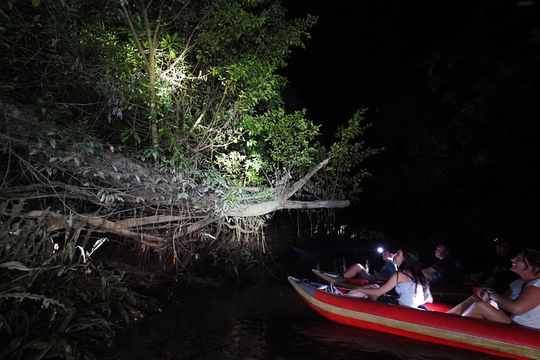 Jungle Night Tour : Finding Snakes and Night Species Jungle Night Tour : Finding Snake and night species