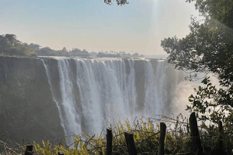 Guided Tour of The Falls