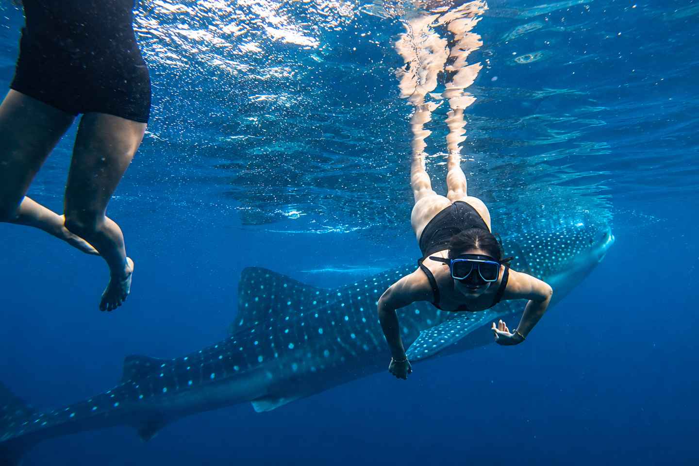 Oslob Whale Shark, Aguinid Falls & Osmea Peak + Free GoPro - Oslob Whale Shark, Aguinid Falls & Osmeña Peak + Free GoPro
