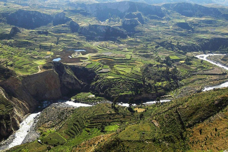 Caminata dentro del Cañón del Colca 2 DÍAS con comidas en Arequipa