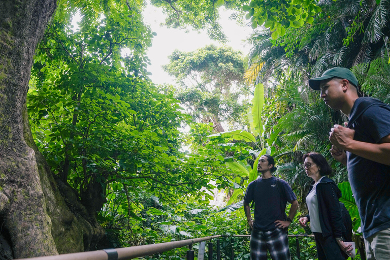 Naha: Okinawa Shuri Castle Peace Walking Tour