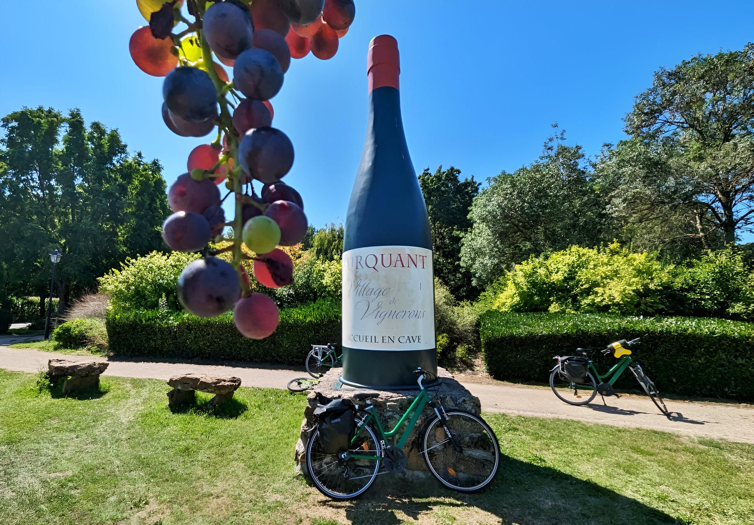 Von Blois aus: Cheverny, Weinverkostung und Radfahren