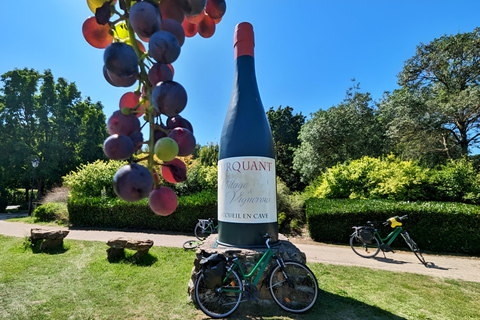 From Blois: Cheverny, Wine Tasting &amp; Cycling