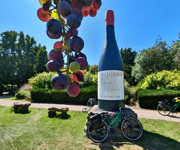 De Blois : Cheverny, dégustation de vin et cyclisme
