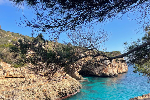 Cala Romántica/Cala Varquez: Caves Trekking Tour