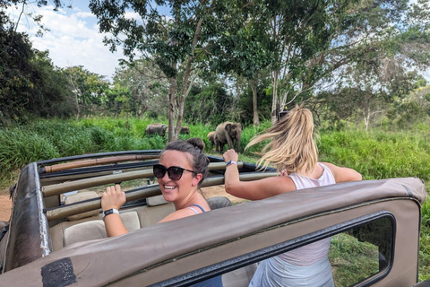 Sigiriya: Minneriya Safari, Yapahuwa Rock & Colombo Drop-off Sigiriya: Minneriya Safari, Yapahuwa Rock & Negombo Drop-off