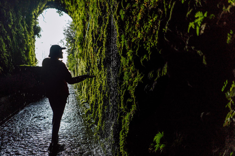 Madeira: 25 Fontes, Risco - Rabaçal Hike Transfer