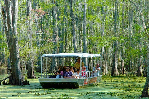 Nowy Orlean: Wycieczka łodzią po bagnach i zatoce Honey Island