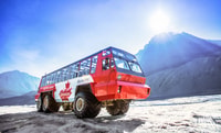 De Banff, de l'Athabasca Glacier et du Columbia Icefield Excursion d'une journée - Hizvo