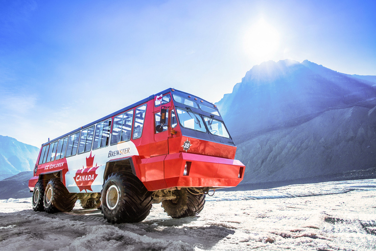 Depuis Banff : Excursion d'une journée au glacier Athabasca et au champ de glace Columbia