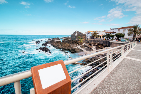 Tenerife: Teide Mountain and North of the Island Tour Teide Mountain and North of the Island Tour