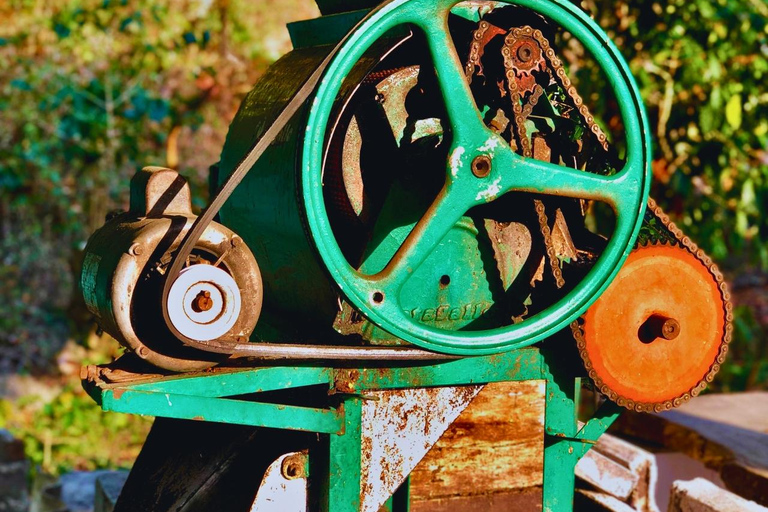 Tour de café, cacau e trekking em Minca: Natureza, cultivos e produção