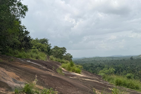 From Negombo: Maligathenna & Pilikuttuwa Temple Hike
