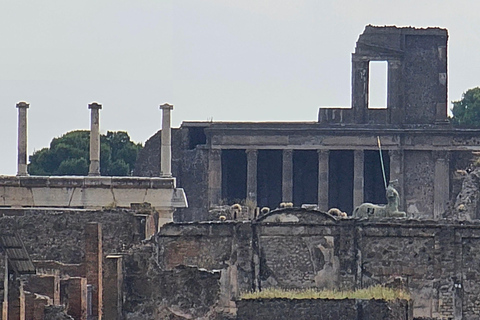 Pompei, biglietto salta fila con smartphone audioguida su App