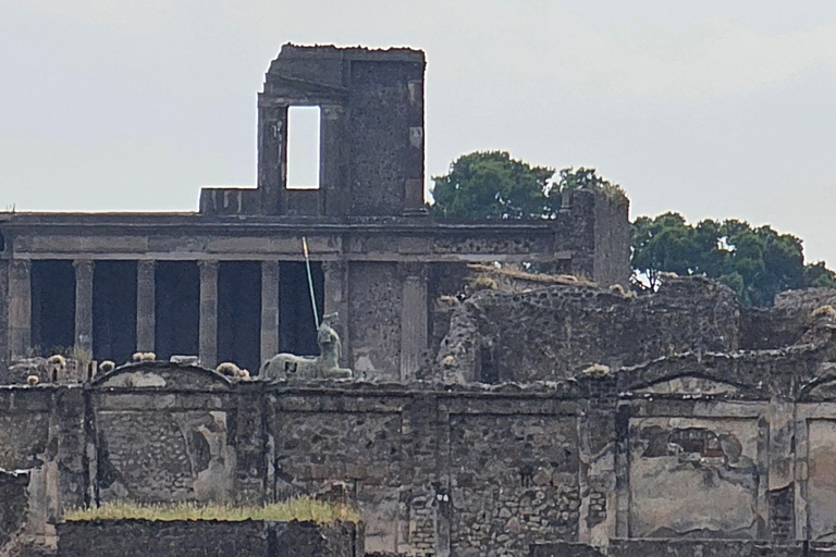 Pompei, biglietto salta fila con smartphone audioguida su App