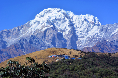 Pokhara: 4-Days Ghorepani and Poon Hill Trek via Ghandruk