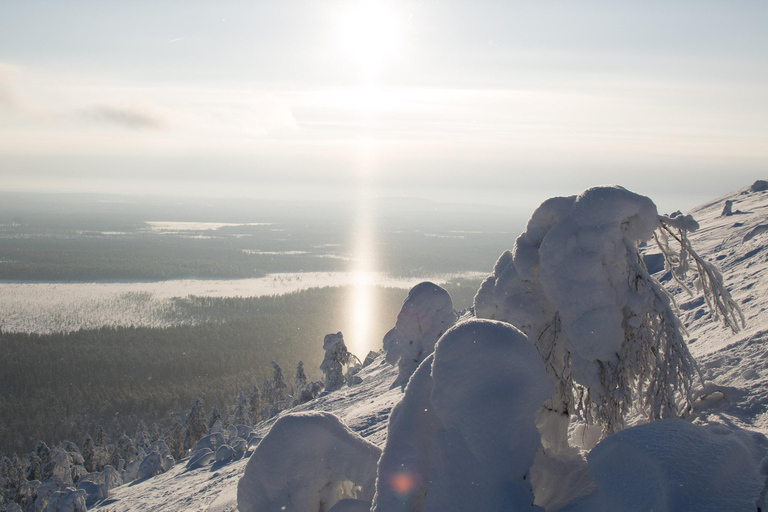 Pyhätunturi: prachtige sneeuwschoentocht in Fins LaplandSchilderachtige sneeuwschoentocht in Fins Lapland