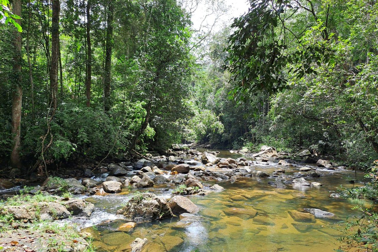 辛哈拉加雨林之旅