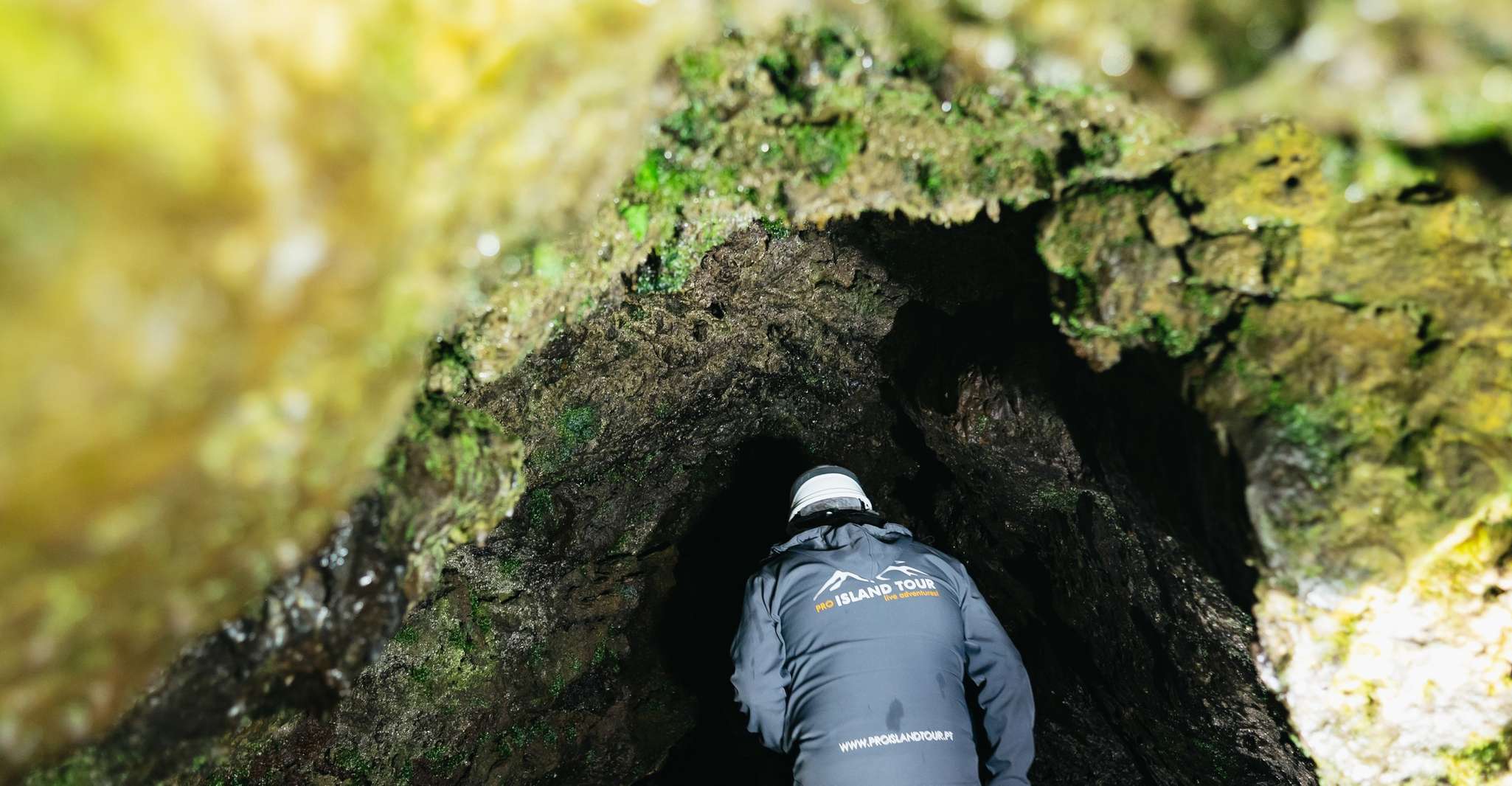 Terceira, Algar do Carvão Lava Caves Tour - Housity