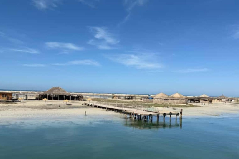 Djerba: Flamingo Island Cruise with Lunch & Dolphin Watching