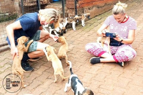 UGANDA - KWIKSTAARTEN - PAARDENKNUFFELS - DIERENTUINVERHALEN - MINISAFARI