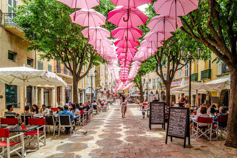 Vanuit Nice: Juwelen van de Provence Dagvullende tour met transfers