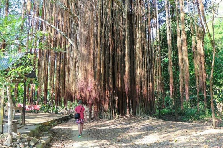 Santa Marta: Quebrada Valencia or Guachaca and Buritaca Tour with Lunch