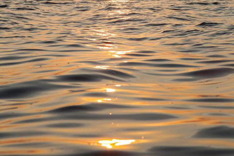 S'Arenal: Dolphin-watching boat tour at dawn S'Arenal: Dolphin Watching Boat Tour at Sunrise