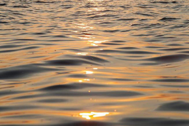 S'Arenal: Dolphin-watching boat tour at dawn S'Arenal: Dolphin Watching Boat Tour at Sunrise