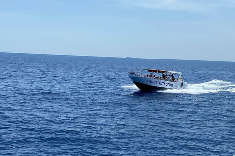 Mallorca: Caves, Cliffs, and Coves Boat Trip Tour with Santa Ponsa Pier Meeting Point 1:45pm