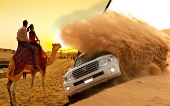 Dubai: Abendliche Wüstensafaris, Kamelritt, BBQ und Shows