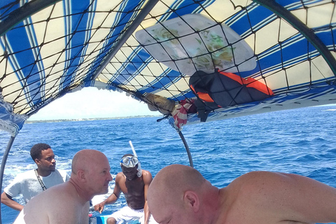 Delfiny i nurkowanie z rurką na Zanzibarze: wycieczka na wyspę MnembaDelfiny i snorkeling na Zanzibarze: wycieczka na wyspę Mnemba