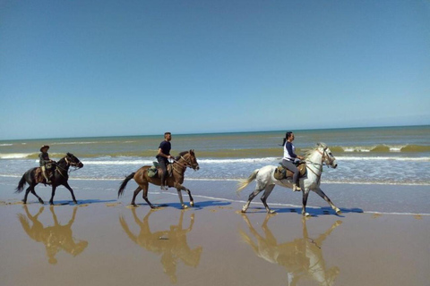 Agadir/ Taghazout : 2 heures de randonnée à cheval sur la plageRandonnée à cheval à Taghazout