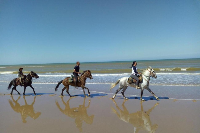 Agadir och Taghazout: 2 timmars ridtur på solnedgångsstranden2 timmars rundtur på engelska, franska, tyska eller polska