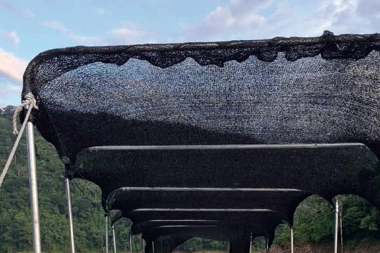 Embalse Amaní: Day Trip with Boat Ride, Kayak and Lunch