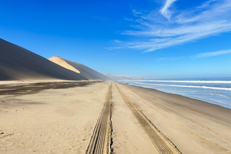 Sandwich Harbor Excursion Namibia/Walvis bay