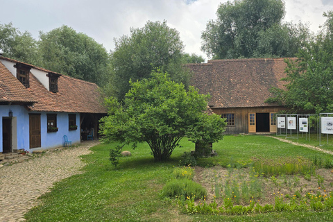 布拉索夫：特兰西瓦尼亚3日精选私人游