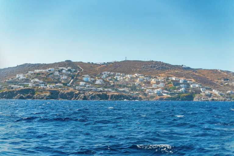Vanuit Mykonos: rondleiding door Delos, met tickets met voorrangstoegangTour in het Frans
