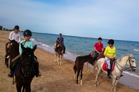 El Gouna : Randonnée à cheval dans le désert et la mer avec baignade en option1 heure de quad + 1 heure d&#039;équitation — Combo double aventure