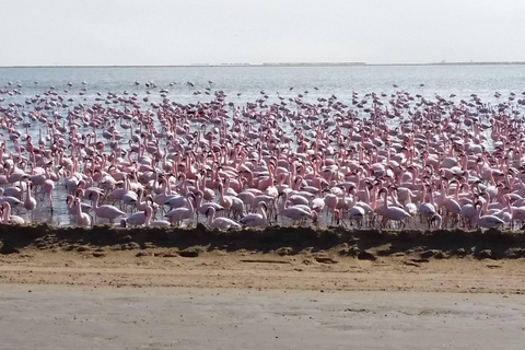 Circuit de 2 jours à Swakopmund