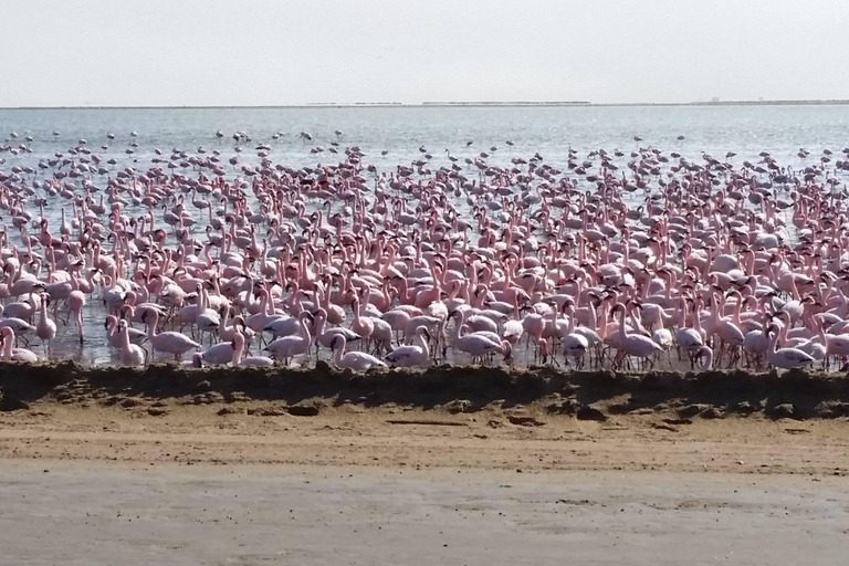 3 Daagse Sossusvlei en Swakopmund Tour